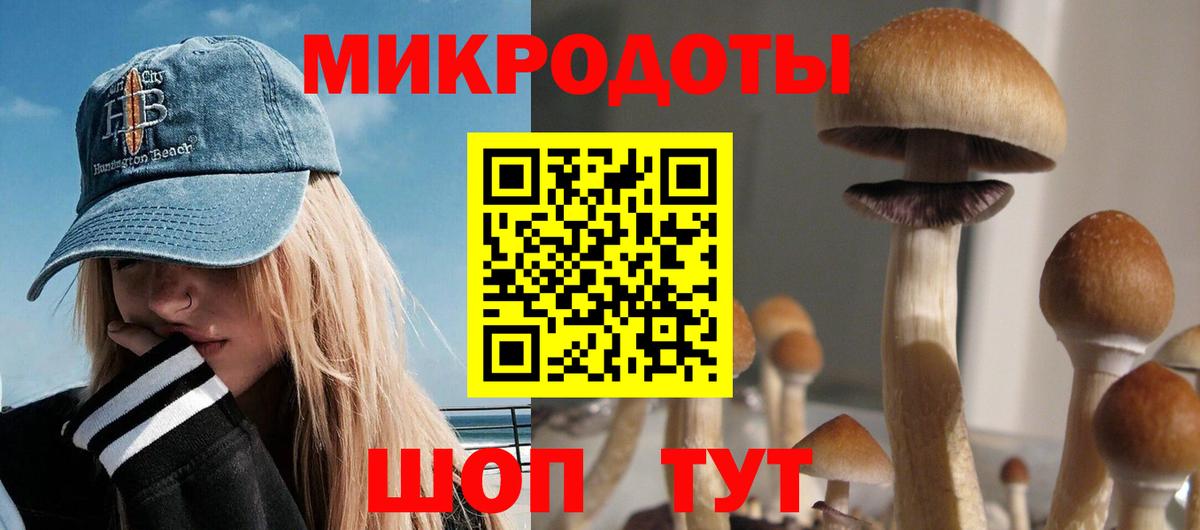 Галлюциногенные грибы мицелий  Галлюциногенные грибы Cubensis  Вход с VPN  где купить   Дальнереченск 